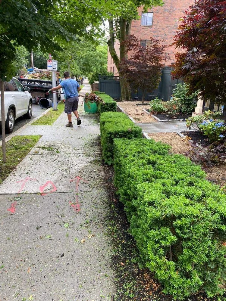 Top-rated yard cleanup service for year-round maintenance in Cambridge, MA by Paiva Landscape & Lawn Care