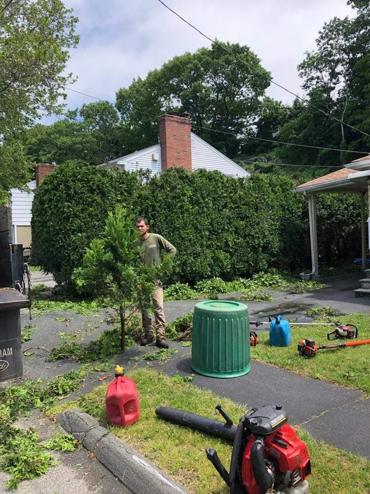 Local landscaping services in Cambridge, MA by Paiva Landscape & Lawn Care