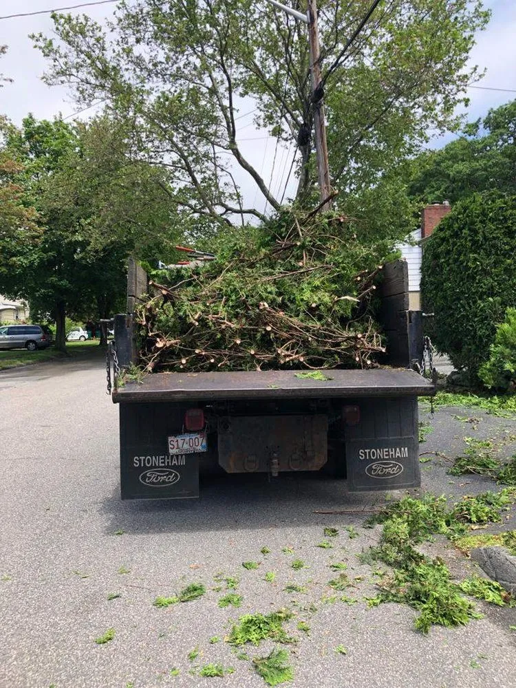 Local lawn mowing service for beautiful yards in Cambridge, MA by Paiva Landscape & Lawn Care