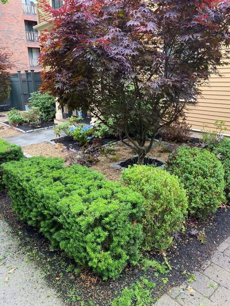 Professional residential landscaping experts serving Cambridge, MA - Paiva Landscape & Lawn Care