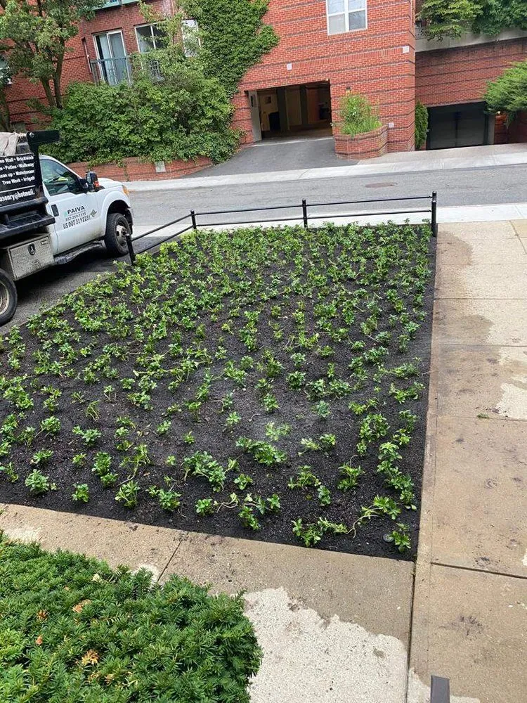 Affordable lawn mowing service for outdoor upgrades across Cambridge, MA - Paiva Landscape & Lawn Care