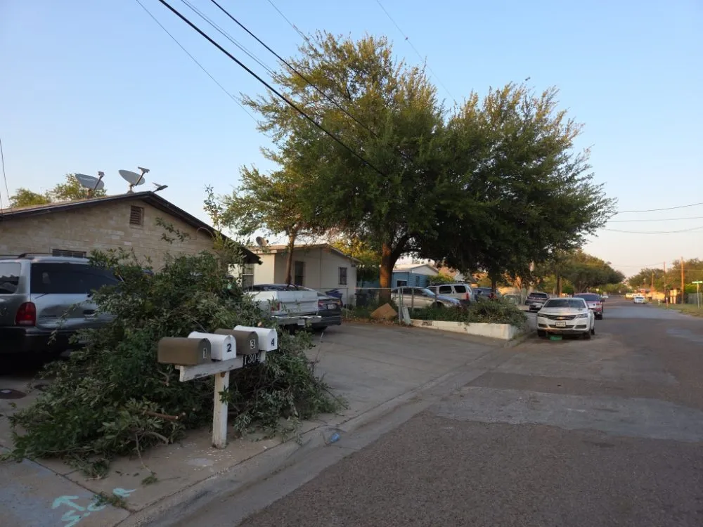 Trusted garden landscaping in Laredo, TX by Paiz Lawn Mowing Services