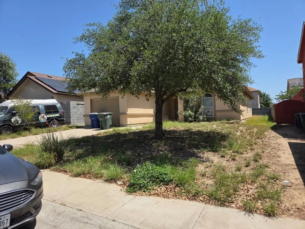 Top-rated outdoor landscaping for year-round maintenance in Laredo, TX by Paiz Lawn Mowing Services