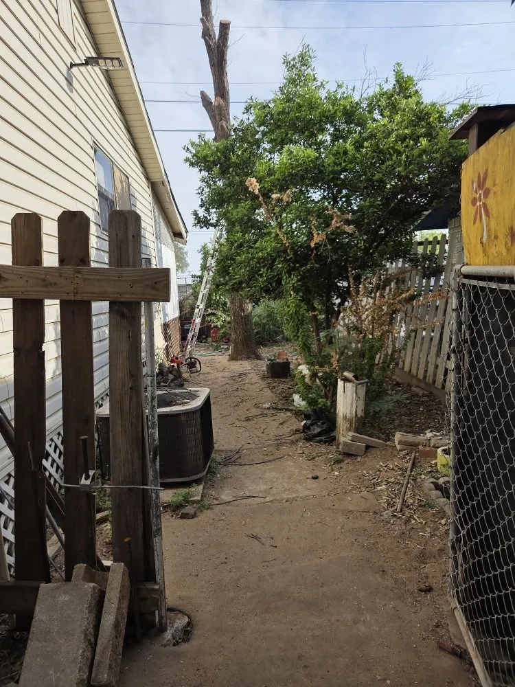 Expert lawn care service in Laredo, TX - Paiz Lawn Mowing Services