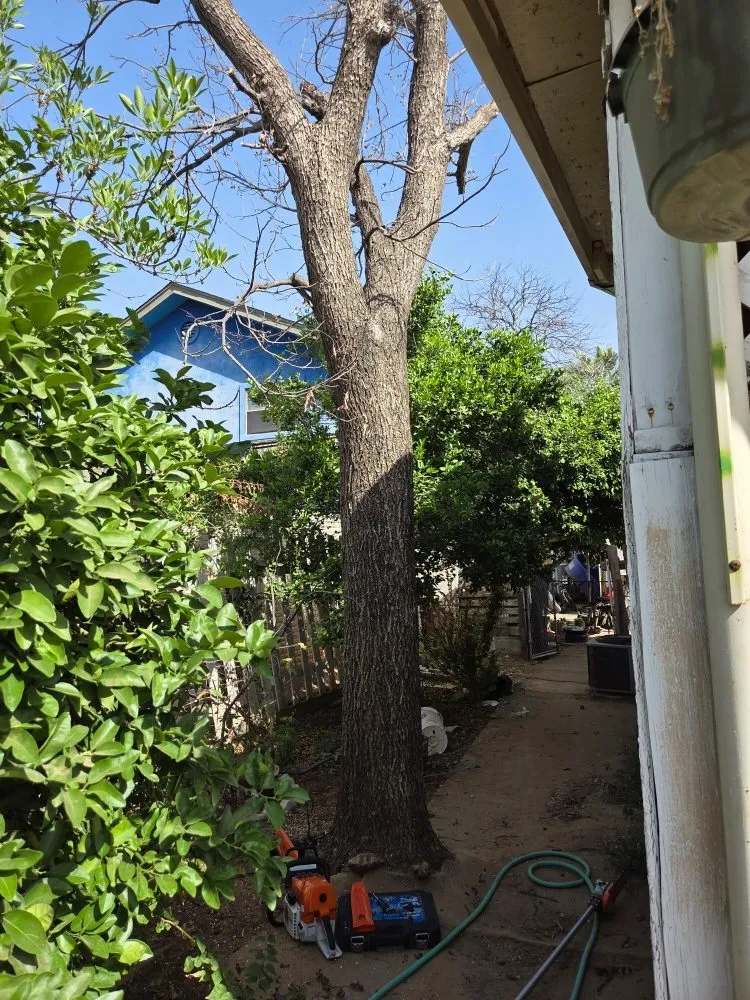 Trusted landscape design experts serving Laredo, TX - Paiz Lawn Mowing Services