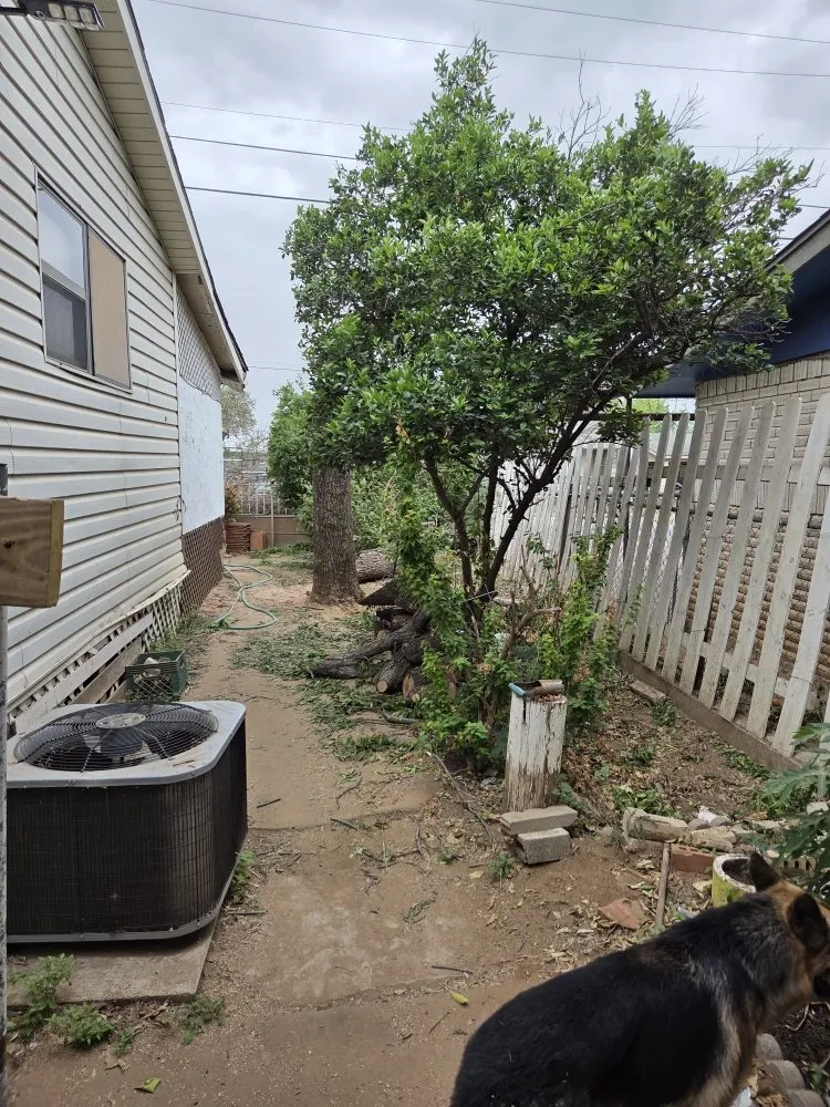 Custom landscaping services for beautiful yards in Laredo, TX by Paiz Lawn Mowing Services