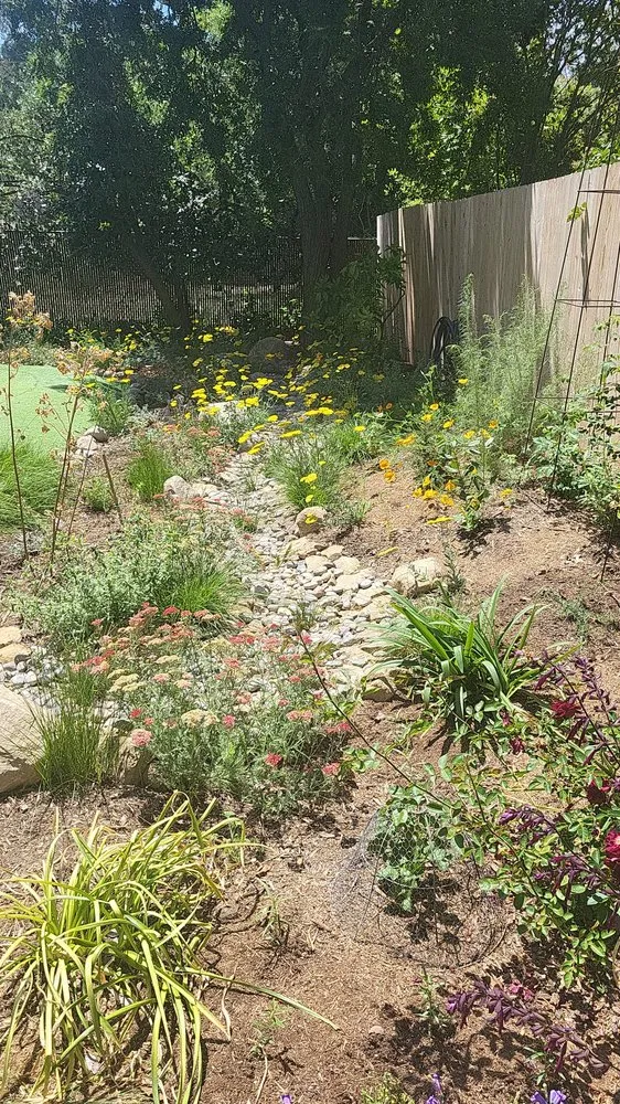 Custom lawn mowing service for beautiful yards across Granada Hills, CA - Pajaro's Landscaping