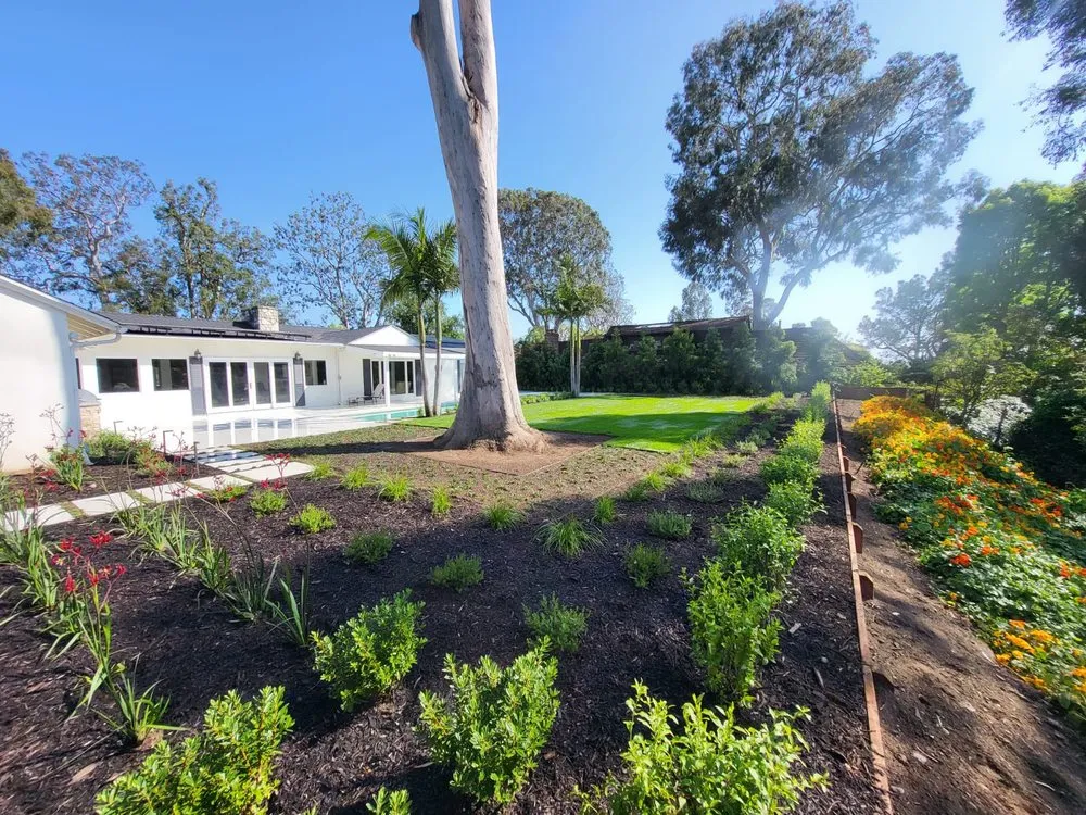 Affordable yard cleanup service in Granada Hills, CA by Pajaro's Landscaping