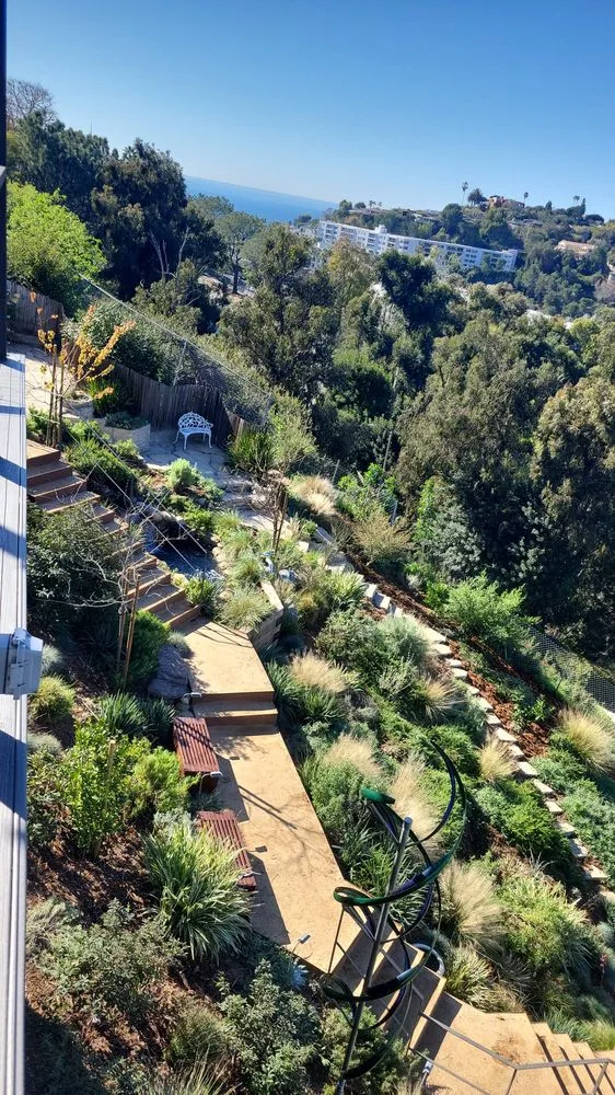 Affordable lawn care service experts serving Granada Hills, CA - Pajaro's Landscaping