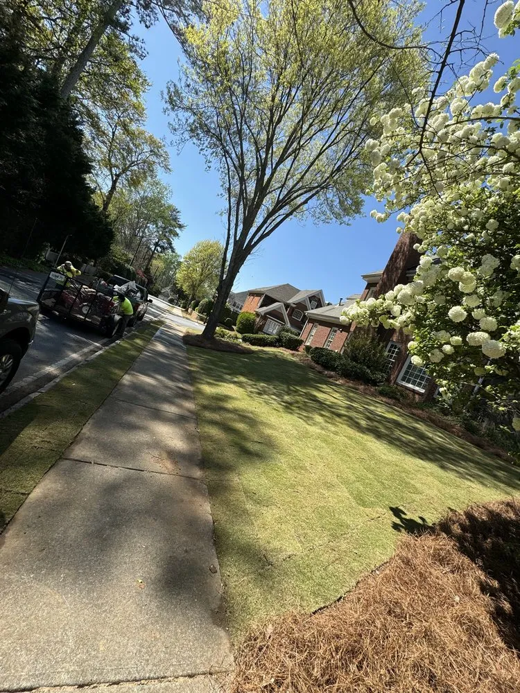 Top-rated lawn care service for residential properties in Atlanta, GA by Palacios Landscape & Design