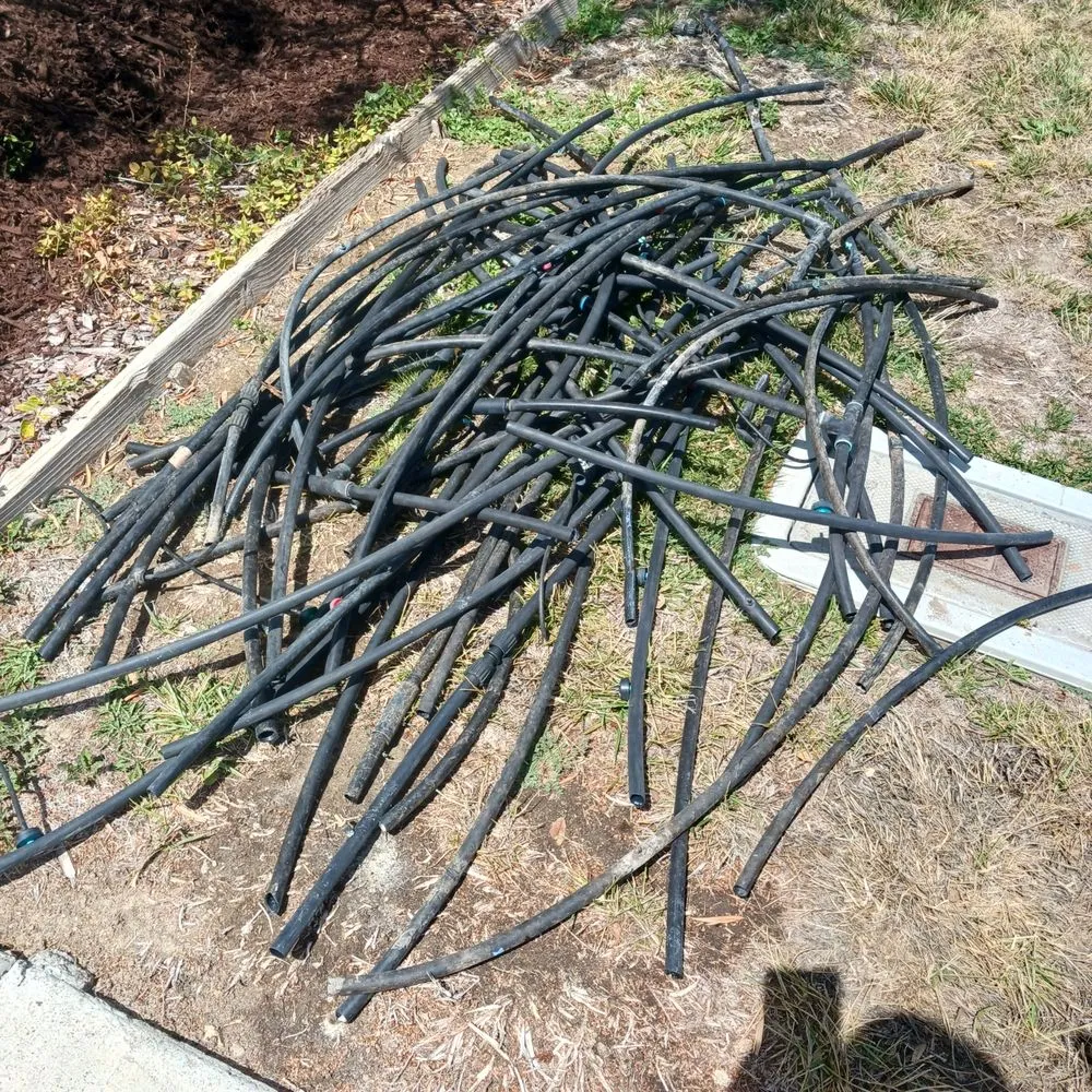 Trusted lawn care service in San Miguel, CA by Palacios Landscape Maintenance