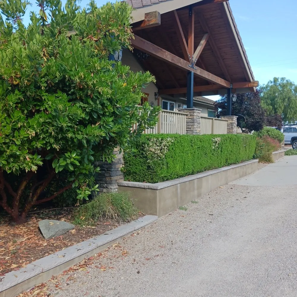 Top-rated outdoor landscaping near you across San Miguel, CA - Palacios Landscape Maintenance