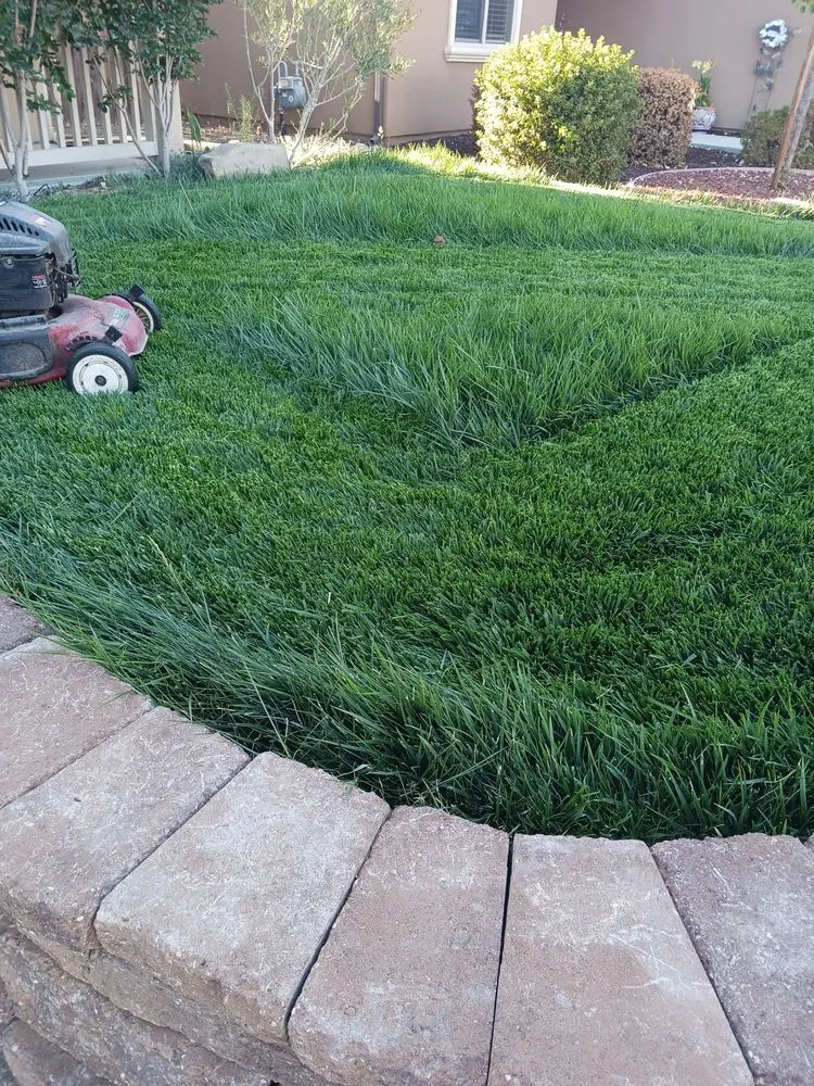 Local landscape installation experts serving San Miguel, CA - Palacios Landscape Maintenance