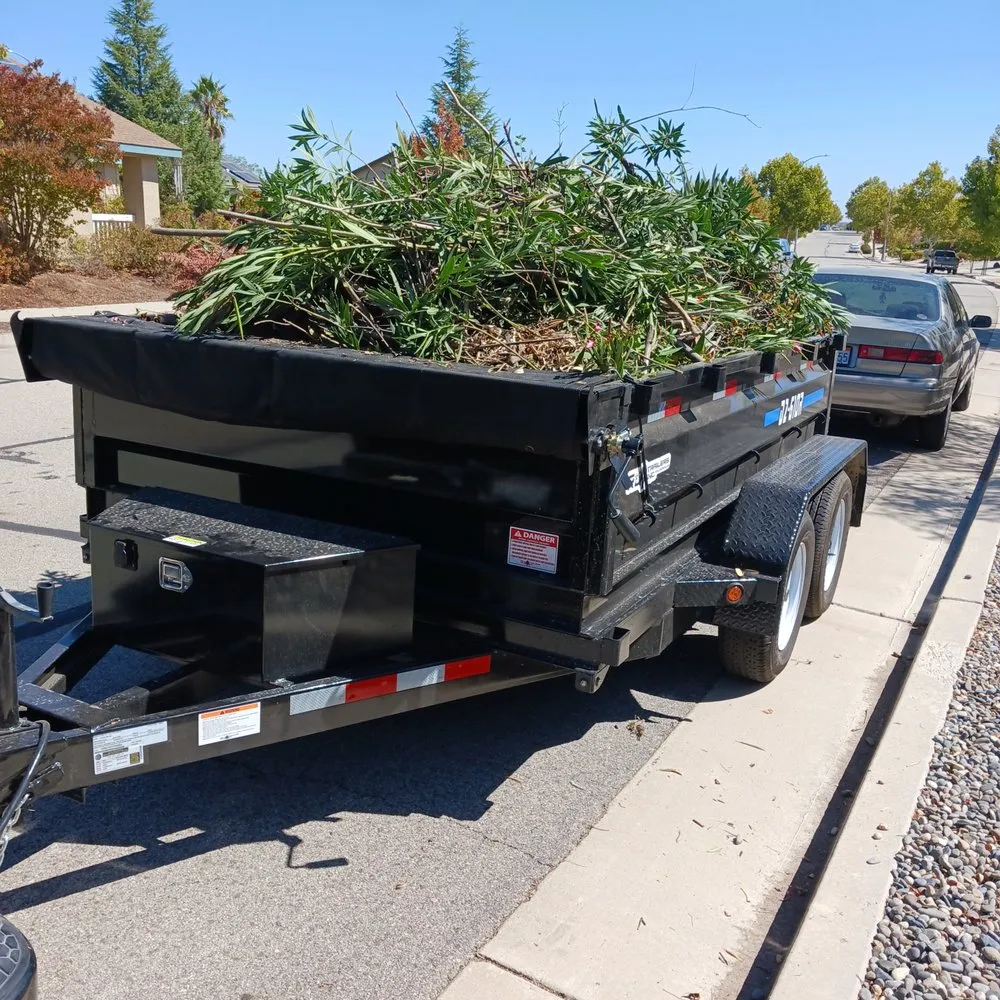 Top-rated yard maintenance experts serving San Miguel, CA - Palacios Landscape Maintenance