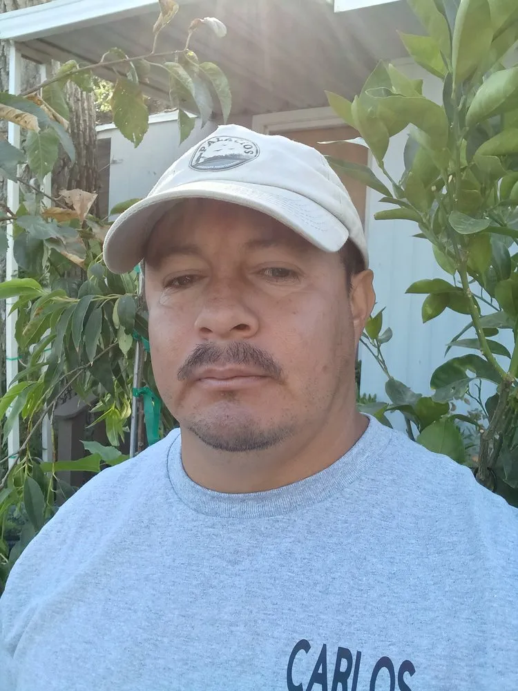 Affordable landscaping services in San Miguel, CA - Palacios Landscape Maintenance