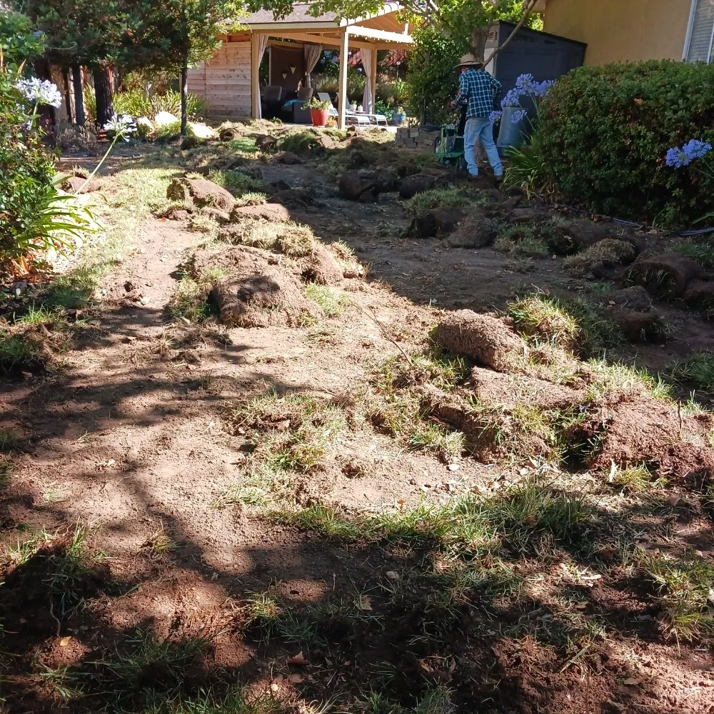 Trusted yard maintenance experts serving San Miguel, CA - Palacios Landscape Maintenance