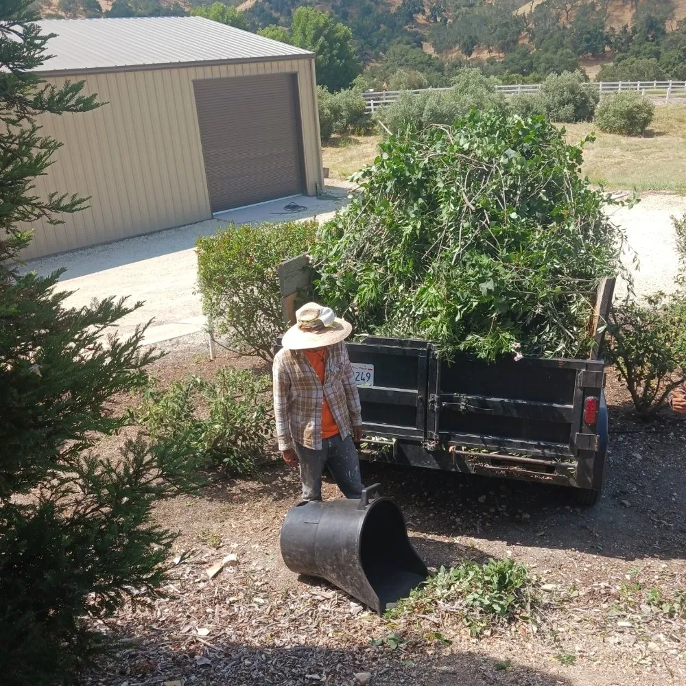 Reliable lawn care service experts serving San Miguel, CA - Palacios Landscape Maintenance