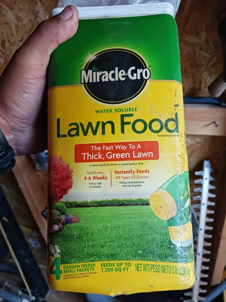 Professional landscape design experts serving San Miguel, CA - Palacios Landscape Maintenance