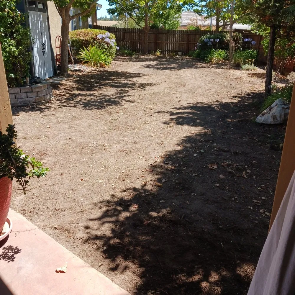 Affordable lawn mowing service experts serving San Miguel, CA - Palacios Landscape Maintenance