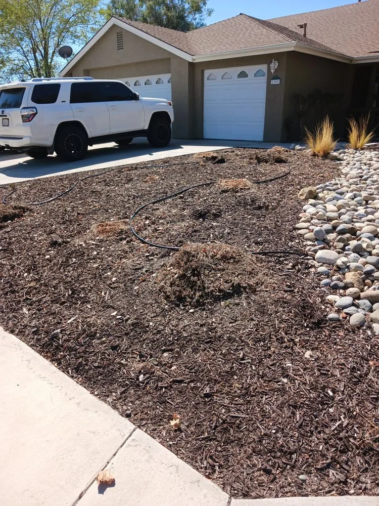 Reliable landscape design for homes in San Miguel, CA by Palacios Landscape Maintenance