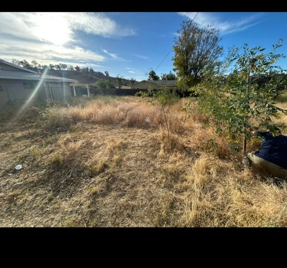 Custom yard maintenance experts serving Lake Elsinore, CA - Palacios Landscaping