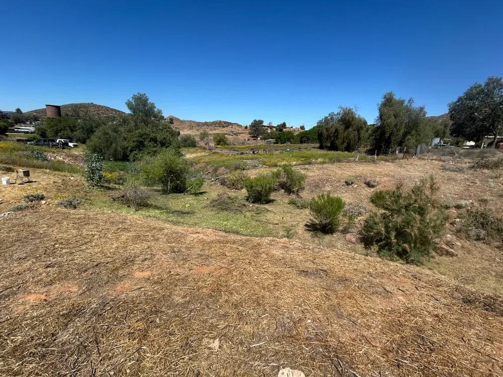 Custom yard maintenance for beautiful yards in Lake Elsinore, CA by Palacios Landscaping