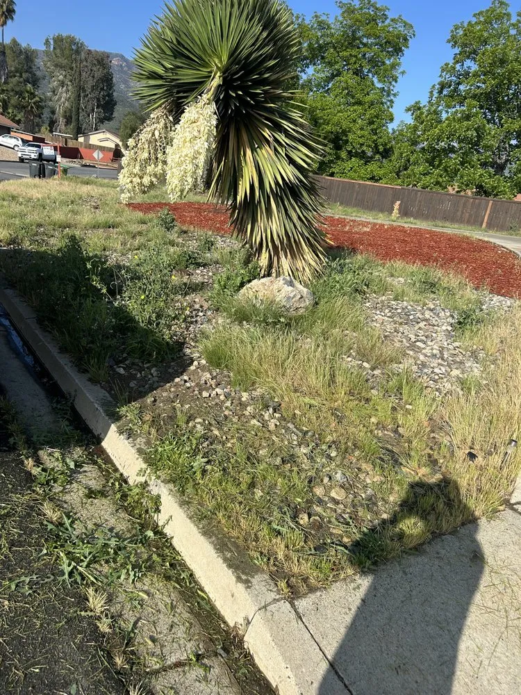 Custom landscape installation experts serving Lake Elsinore, CA - Palacios Landscaping