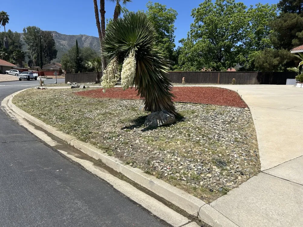 Local garden landscaping in Lake Elsinore, CA by Palacios Landscaping
