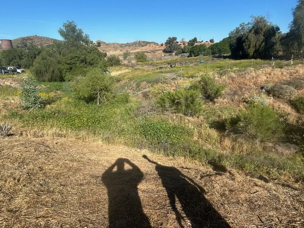 Affordable residential landscaping for beautiful yards across Lake Elsinore, CA - Palacios Landscaping