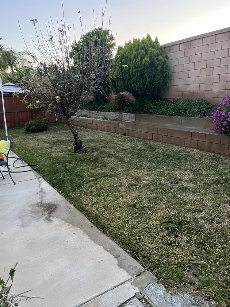 Local lawn mowing service in Lake Elsinore, CA - Palacios Landscaping