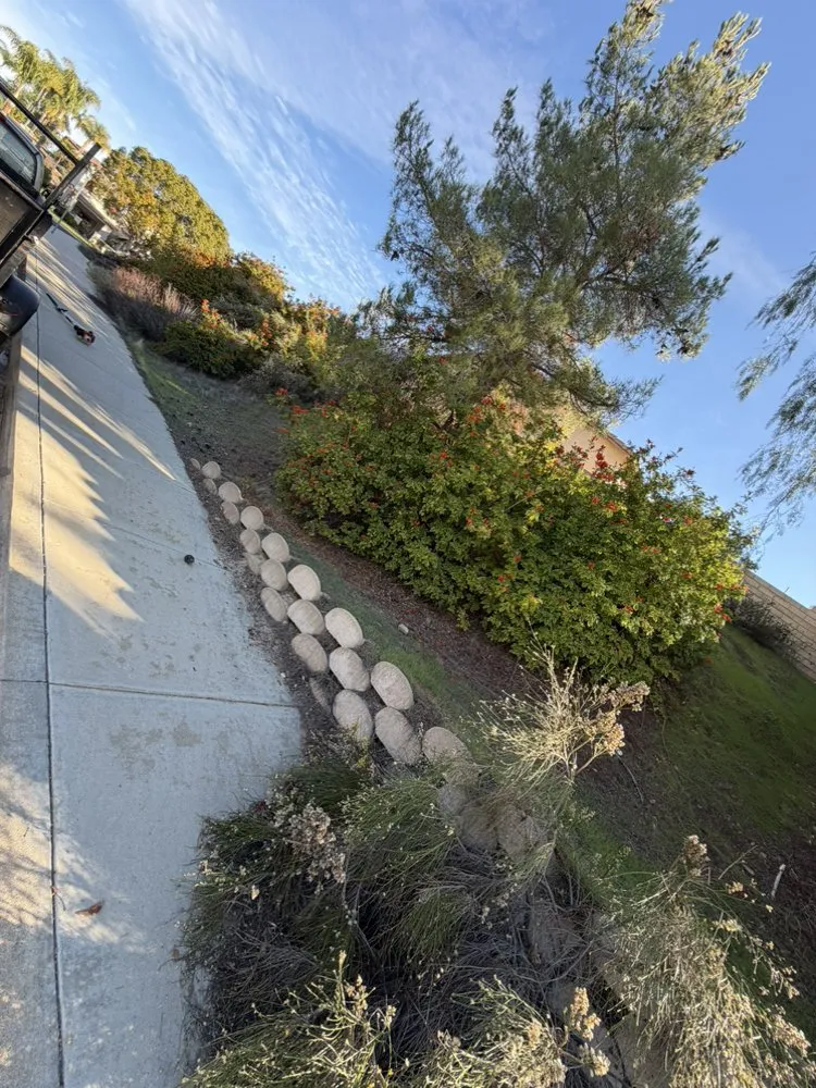 Local lawn care service in Lake Elsinore, CA - Palacios Landscaping