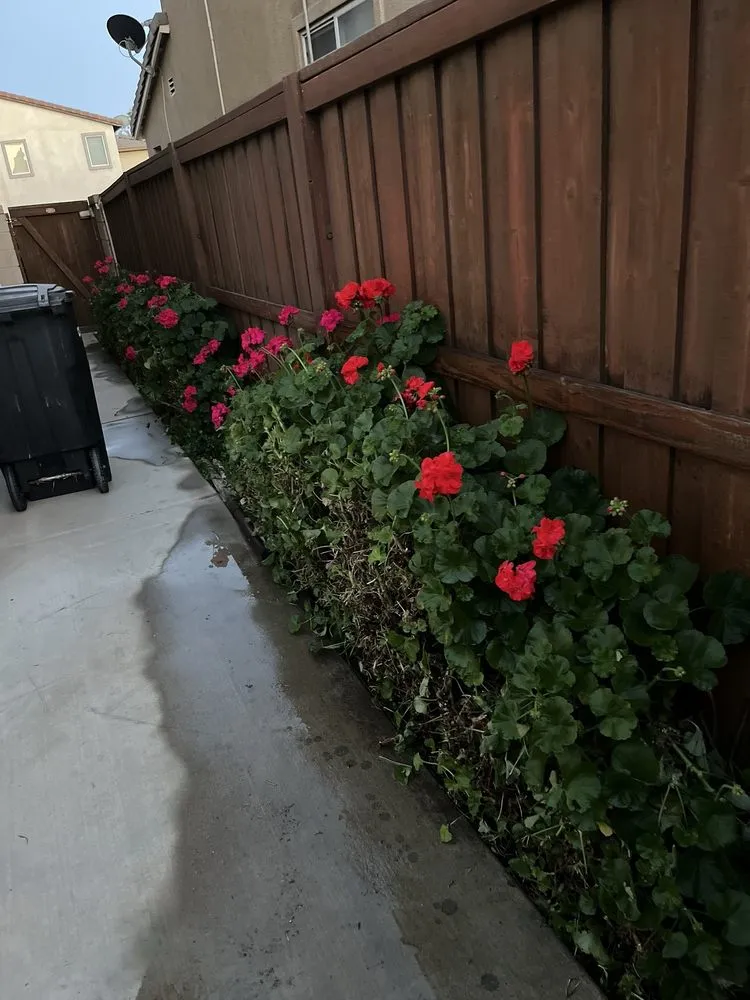 Top-rated landscape design experts serving Lake Elsinore, CA - Palacios Landscaping