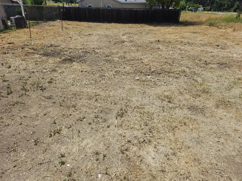 Top-rated lawn mowing service for residential properties in Lake Elsinore, CA by Palacios Landscaping