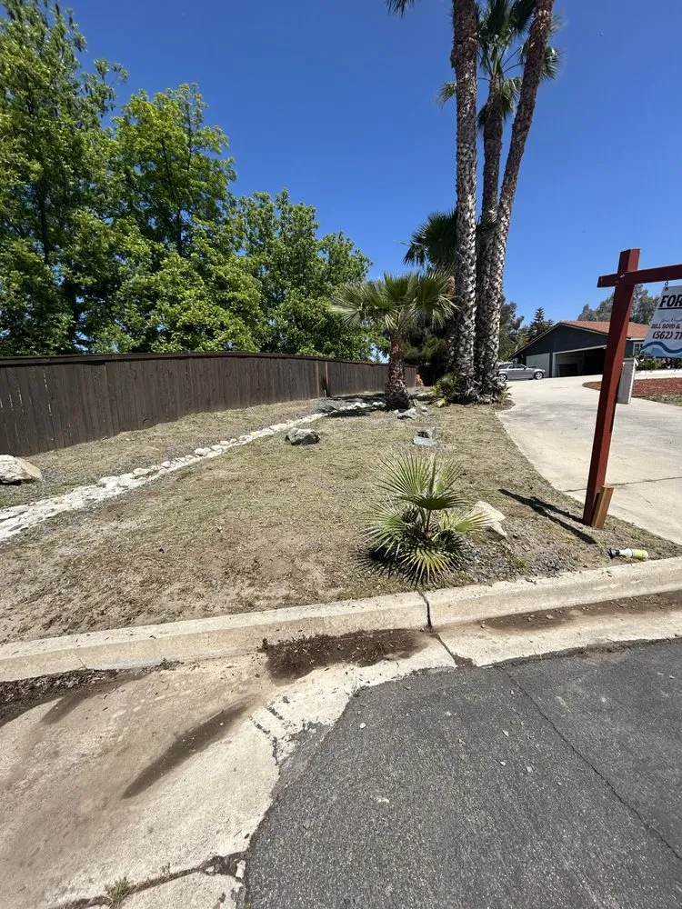 Professional lawn care service in Lake Elsinore, CA by Palacios Landscaping