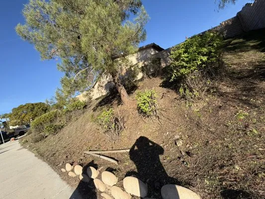 Palacios Landscaping