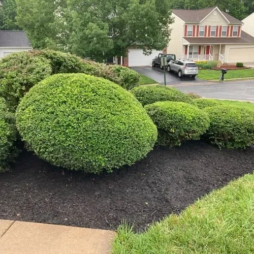 Professional yard maintenance in Woodbridge, VA - Palacios landscaping