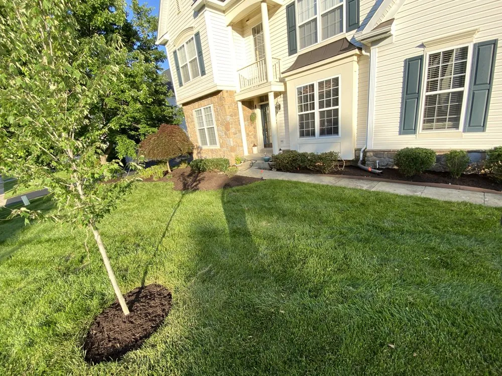Professional yard maintenance in Woodbridge, VA by Palacios landscaping
