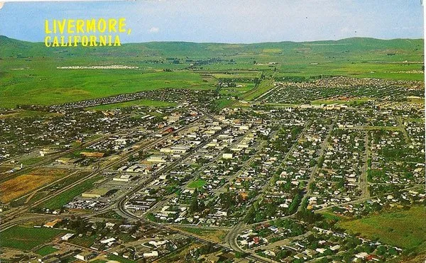 Paladin Yard Care Logo