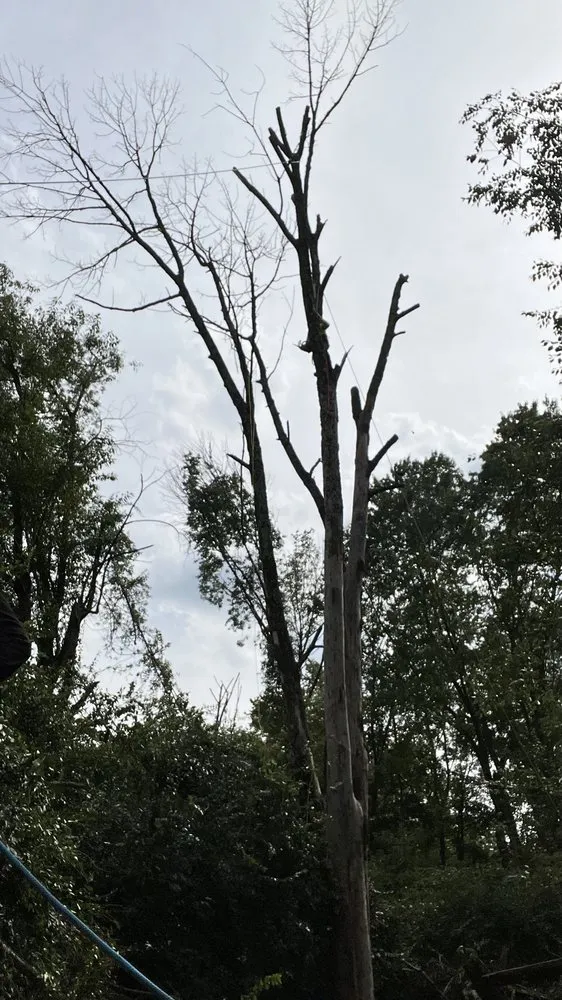 Affordable landscape installation for year-round maintenance in West Chester, PA by Palafox Brothers Lawn Care