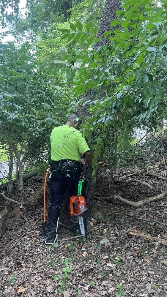 Top-rated yard cleanup service experts serving West Chester, PA - Palafox Brothers Lawn Care