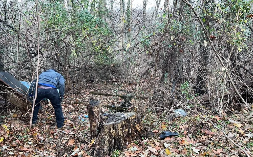 Top-rated yard cleanup service with custom design across West Chester, PA - Palafox Brothers Lawn Care