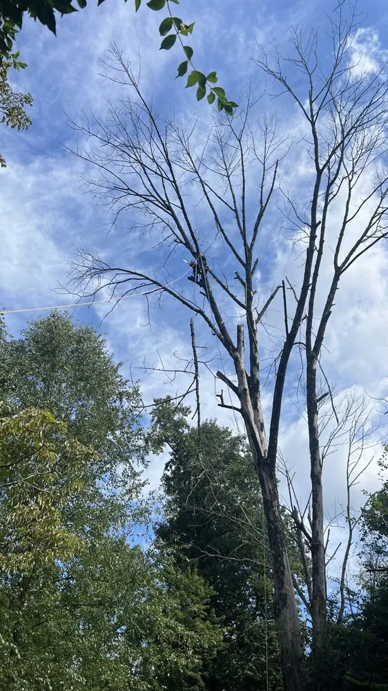 Reliable landscape installation in West Chester, PA - Palafox Brothers Lawn Care