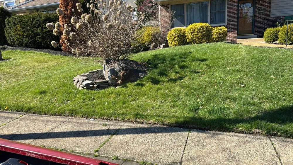 Reliable yard cleanup service with custom design across West Chester, PA - Palafox Brothers Lawn Care