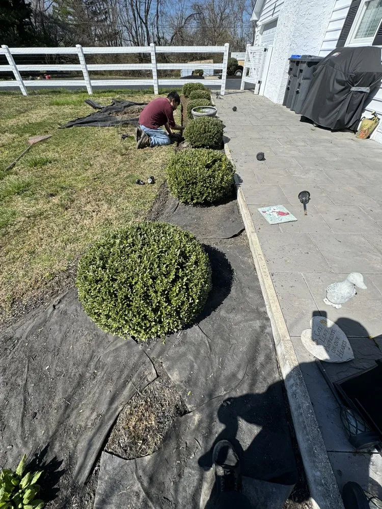 Reliable yard maintenance in West Chester, PA by Palafox Brothers Lawn Care