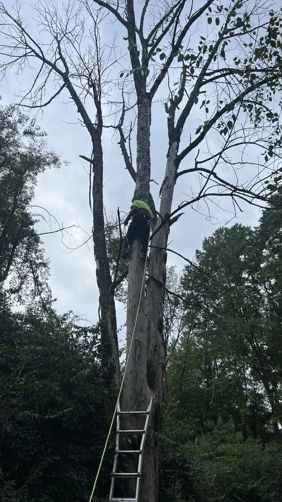 Reliable landscape design experts serving West Chester, PA - Palafox Brothers Lawn Care