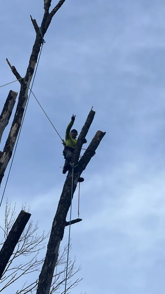 Local yard cleanup service in West Chester, PA - Palafox Brothers Lawn Care