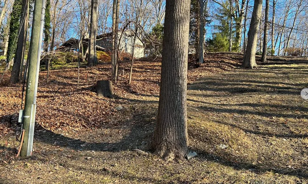 Trusted lawn care service for beautiful yards across West Chester, PA - Palafox Brothers Lawn Care