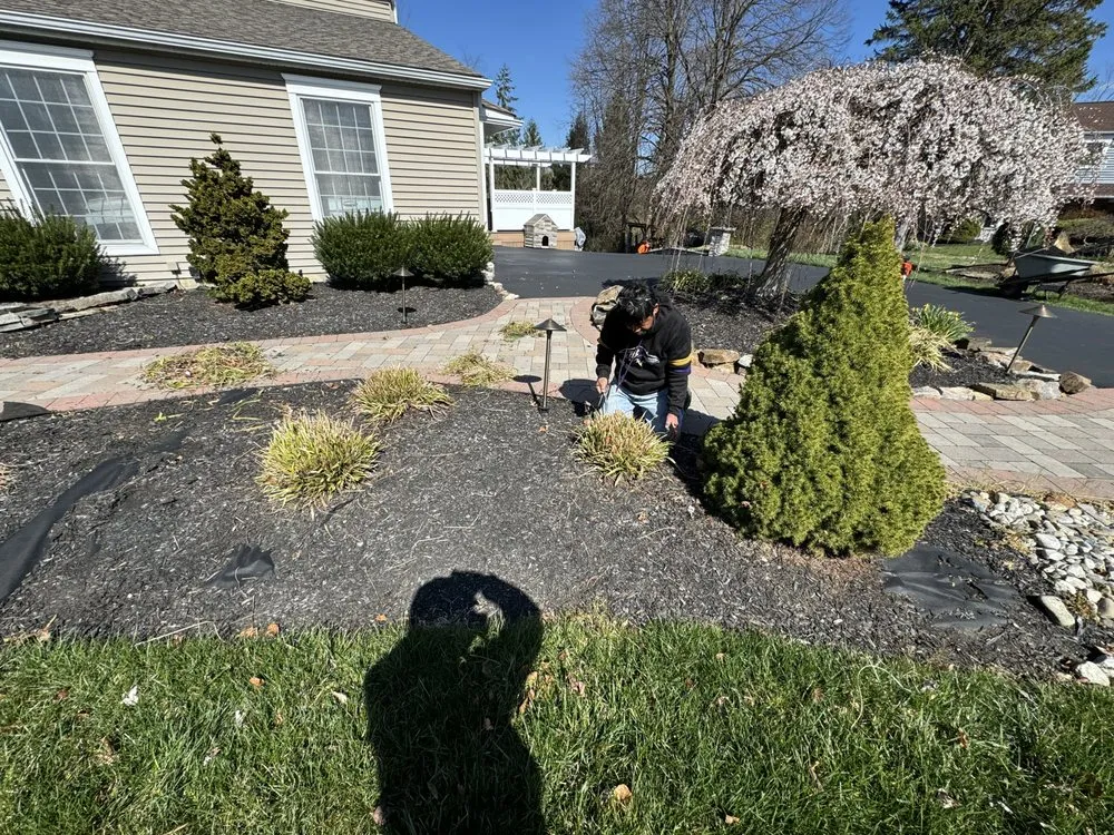 Reliable landscape design for year-round maintenance across West Chester, PA - Palafox Brothers Lawn Care