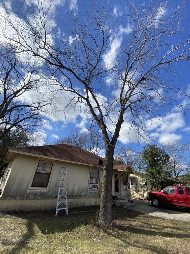 Top-rated garden landscaping in Austin, TX - Palafox Landscaping and Tree Service