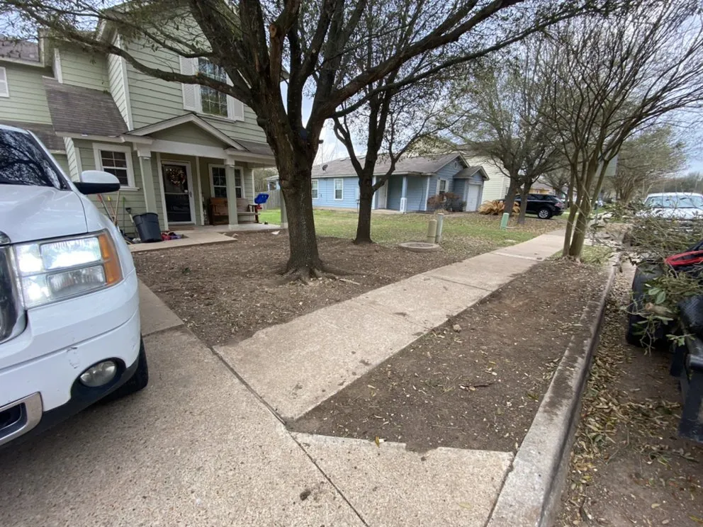 Local landscape design in Austin, TX - Palafox Landscaping and Tree Service